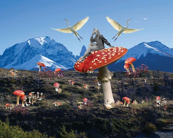 1618682_775471625893347_2771495993015242721_n