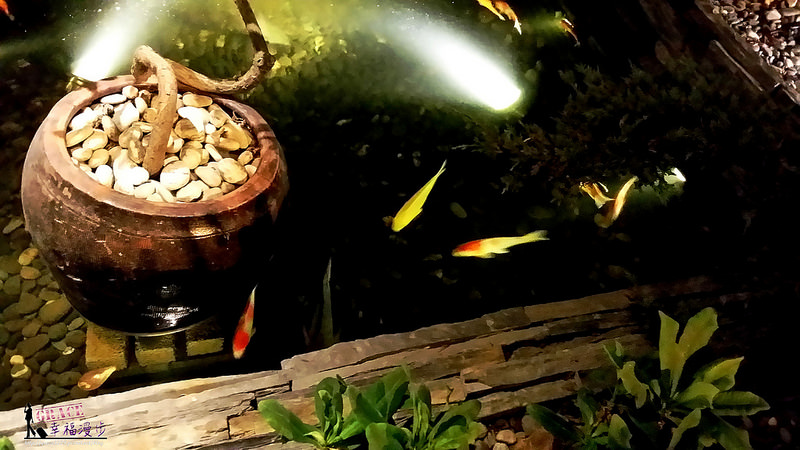 PhotoCap_20150603_201041