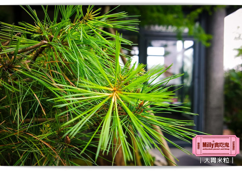 宜蘭波卡拉度假會館0009