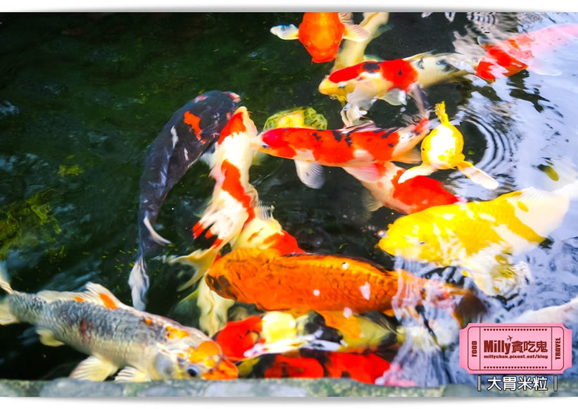 宜蘭波卡拉度假會館0008