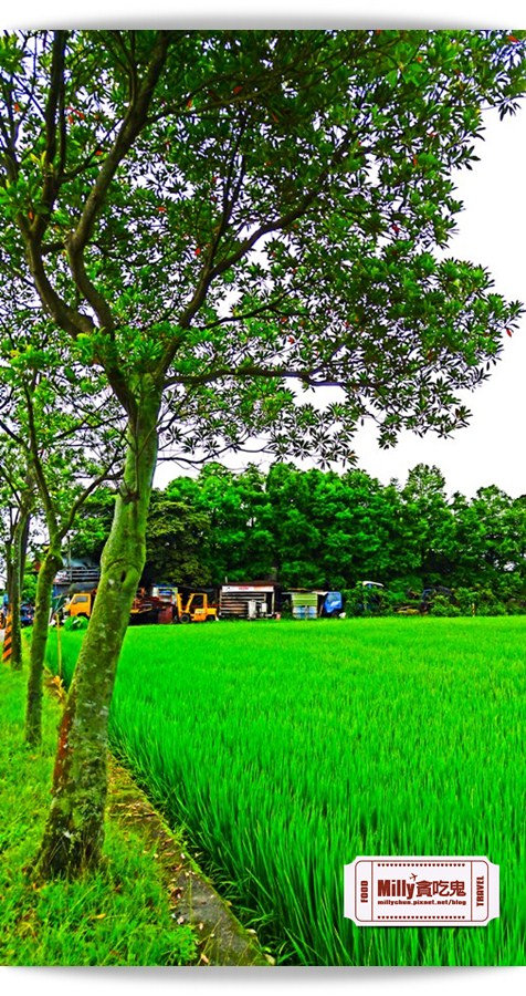 C360_2015-06-01-09-01-44-769