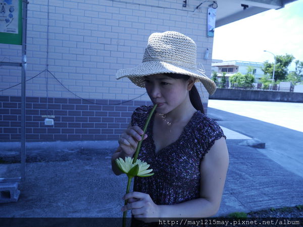7 宜蘭 採蓮花 隨緣蓮花休閒農莊.JPG