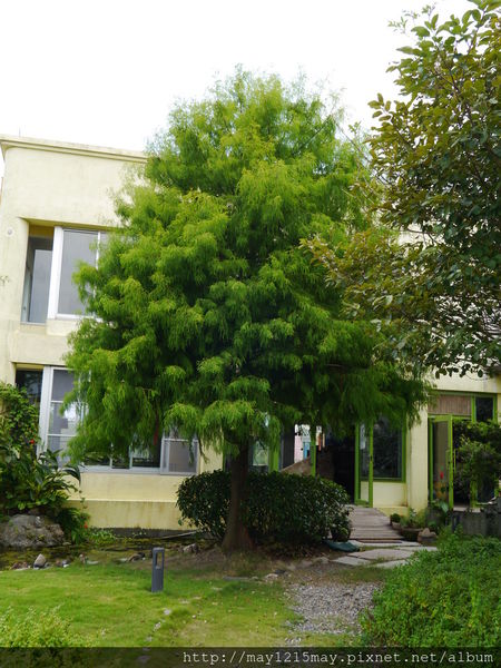 1-7 宜蘭 羅東 冬山 雲天楓泉 民宿.JPG