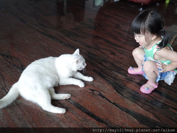 1-11 宜蘭 羅東 冬山雲天楓泉 民宿.JPG