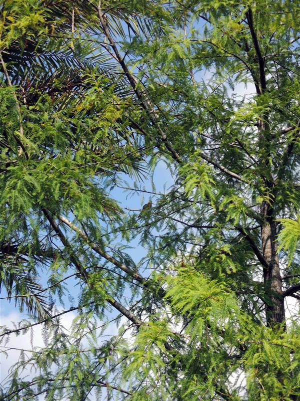 宜蘭礁溪民宿 波卡拉渡假會館017.jpg