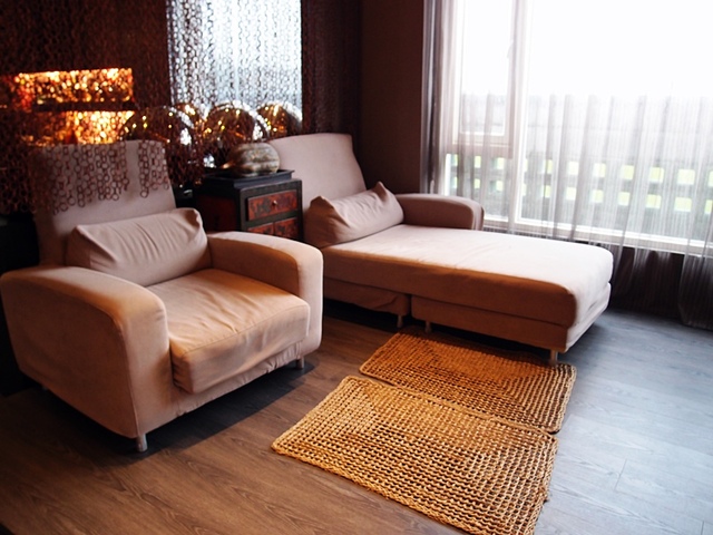 cats16.jpg - 日誌用相簿