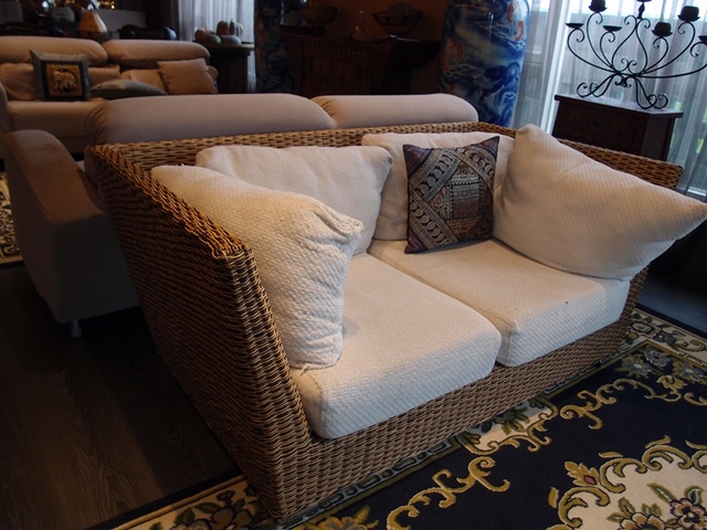 cats14.jpg - 日誌用相簿