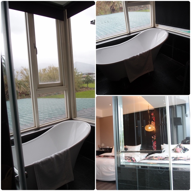 cats36.jpg - 日誌用相簿