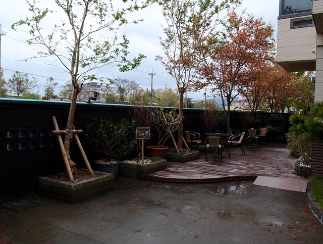 cats8.jpg - 日誌用相簿