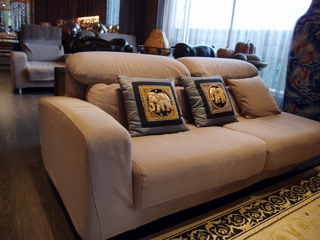 cats15.jpg - 日誌用相簿