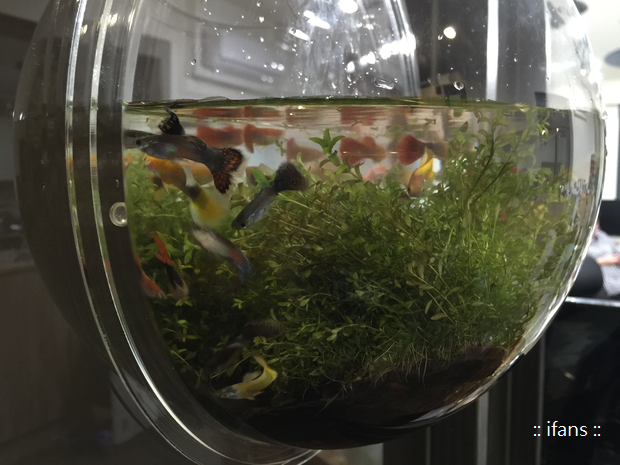 2015-09-14 20.03.23.png