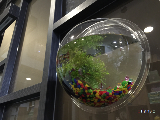 2015-09-14 20.01.57.png