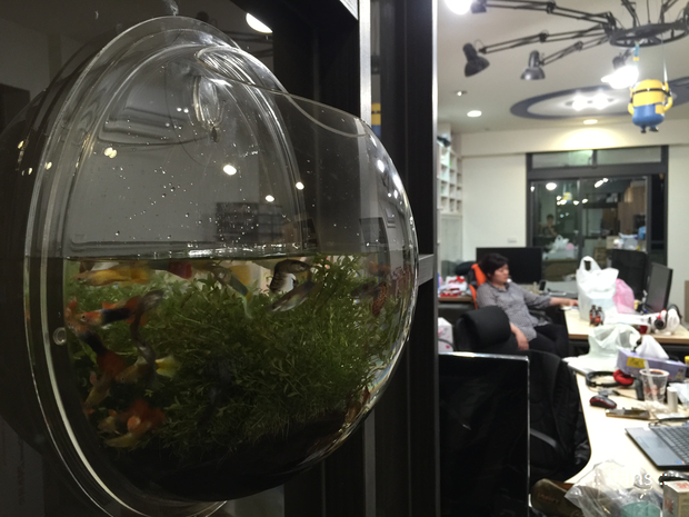 2015-09-14 20.02.36.png