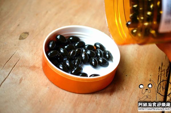 【宅配︱團購︱身體保養】H&N PROPOLIS蜂膠膠囊．蜂膠/保健食品