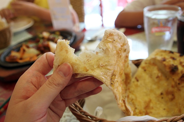 cats25.jpg - 日誌用相簿