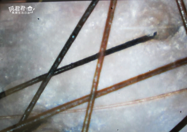 JF 美髮沙龍_阿君君-0419.jpg