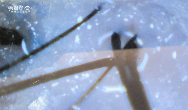 JF 美髮沙龍_阿君君-0473.jpg