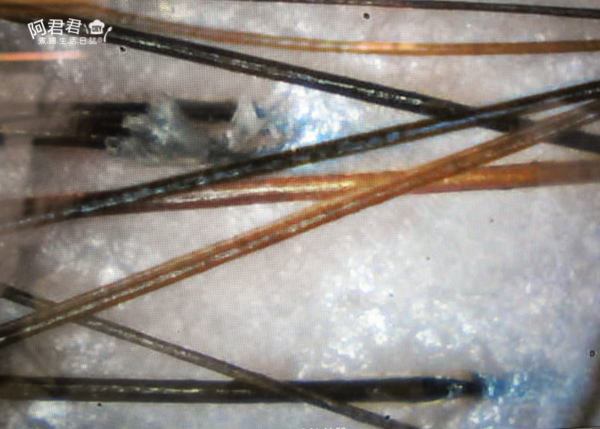 JF 美髮沙龍_阿君君-0418.jpg