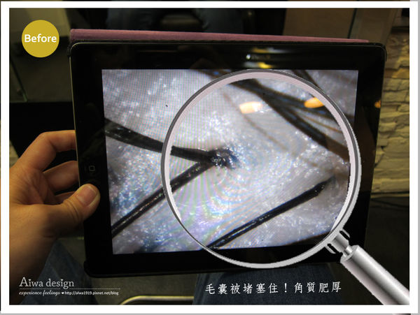 JF美髮沙龍-頭皮調理髮療修復SPA-36