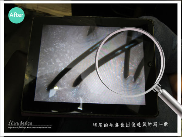 JF美髮沙龍-頭皮調理髮療修復SPA-25