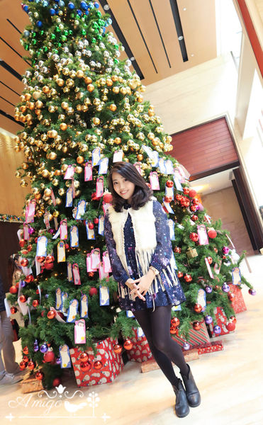 相片 2015-12-20 上午11 30 27