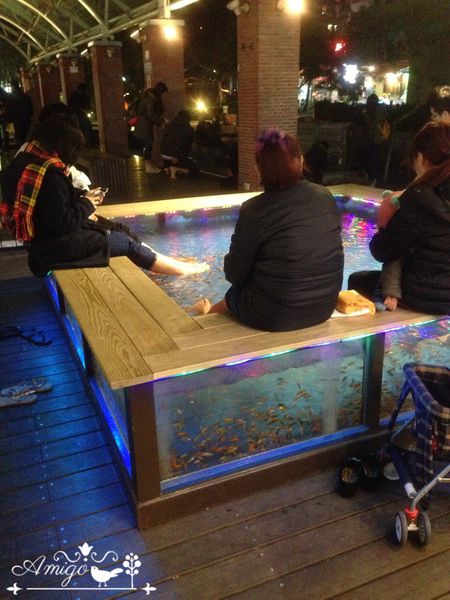 相片 2015-12-17 下午8 03 23