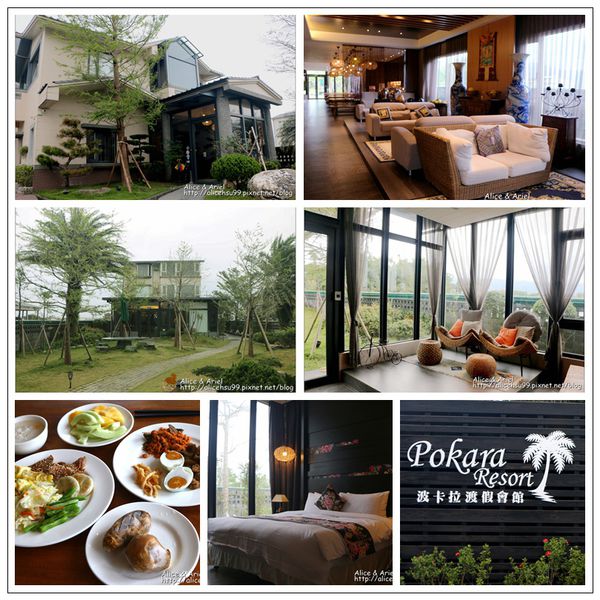 IMG_2764_副本_副本