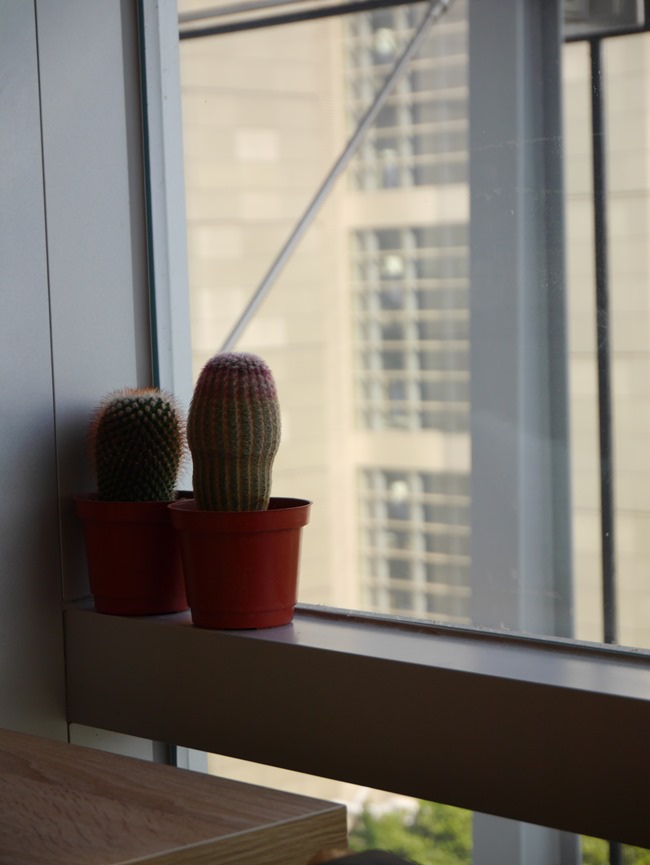 │食。台北天母│是美食也是一種生活享受的omo café早午餐／下午茶