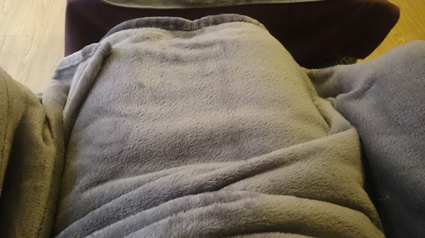 cm20151225___4e501054f8d428f3ac61e693c93