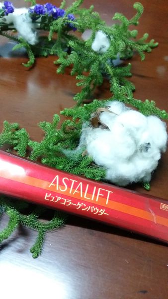 2015-12-14 19.45.55.jpg