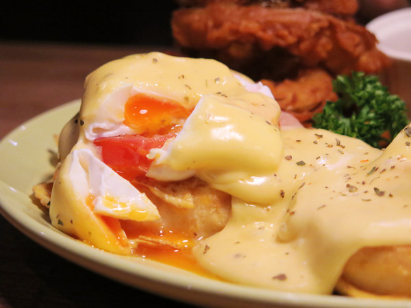 Toast Chat：東區早午餐&amp;下午茶、萌貓咪餐廳。Toast Chat