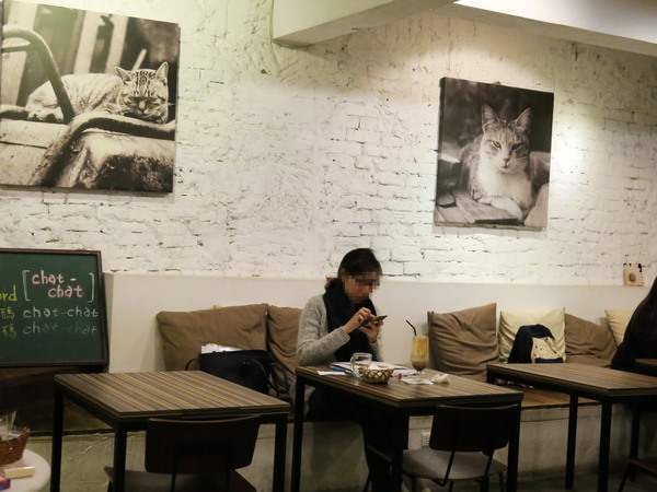 Toast Chat：東區早午餐&amp;下午茶、萌貓咪餐廳。Toast Chat