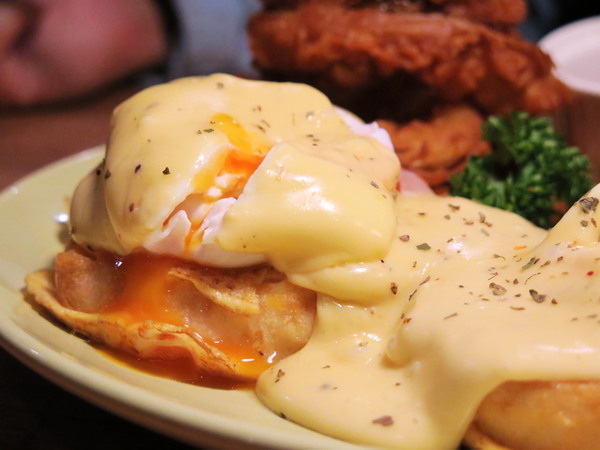 Toast Chat：東區早午餐&amp;下午茶、萌貓咪餐廳。Toast Chat