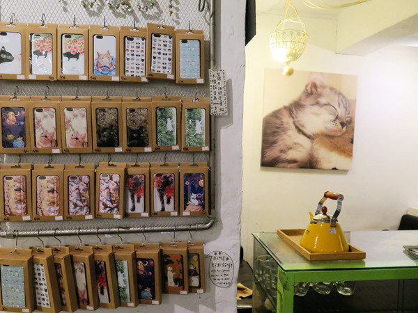 Toast Chat：東區早午餐&amp;下午茶、萌貓咪餐廳。Toast Chat