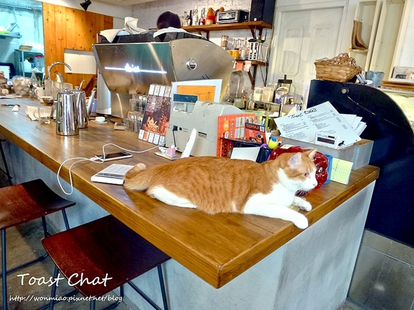 Toast Chat：【台北市大安區/食記】東區早午餐、貓咪餐廳、下午茶 (完整菜單) ✿✿ Toast Chat ✿✿