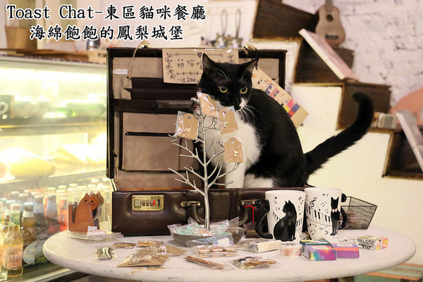 Toast Chat：Toast Chat-東區早午餐 / 貓咪餐廳 / 下午茶