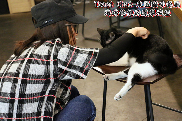 Toast Chat：Toast Chat-東區早午餐 / 貓咪餐廳 / 下午茶