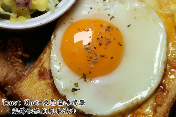 Toast Chat：Toast Chat-東區早午餐 / 貓咪餐廳 / 下午茶