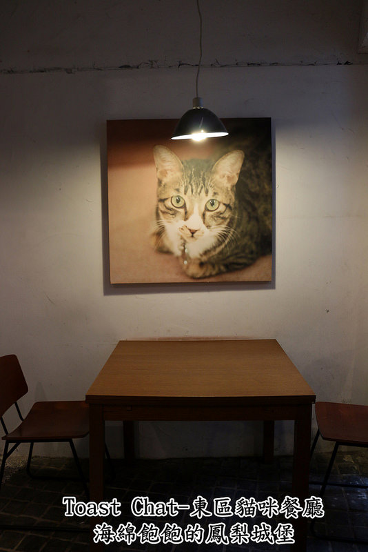 Toast Chat：Toast Chat-東區早午餐 / 貓咪餐廳 / 下午茶