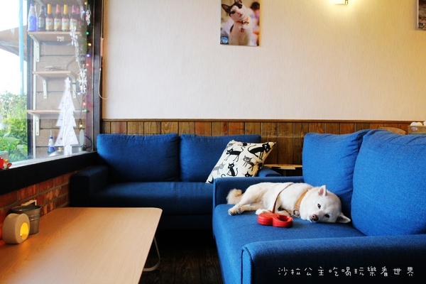 夜貓食堂：慢步淡水河畔『夜貓食堂』宵夜/燒烤BBQ/新北寵物餐廳/夜景