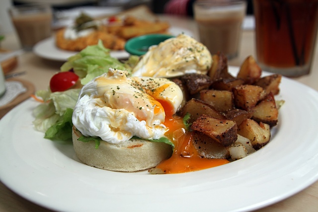 cats10-4.jpg - 日誌用相簿