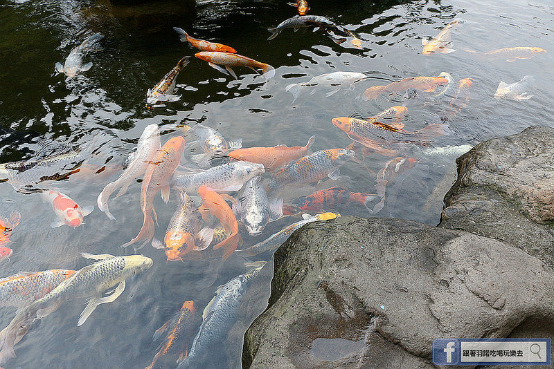 宜蘭太平山民宿英仕山莊旋轉餐廳257