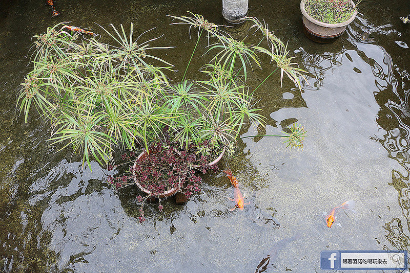 宜蘭太平山民宿英仕山莊旋轉餐廳344