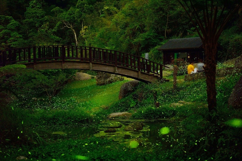 圓潭自然生態公園2