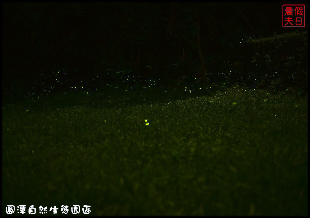 圓潭自然生態園區DSC_6916