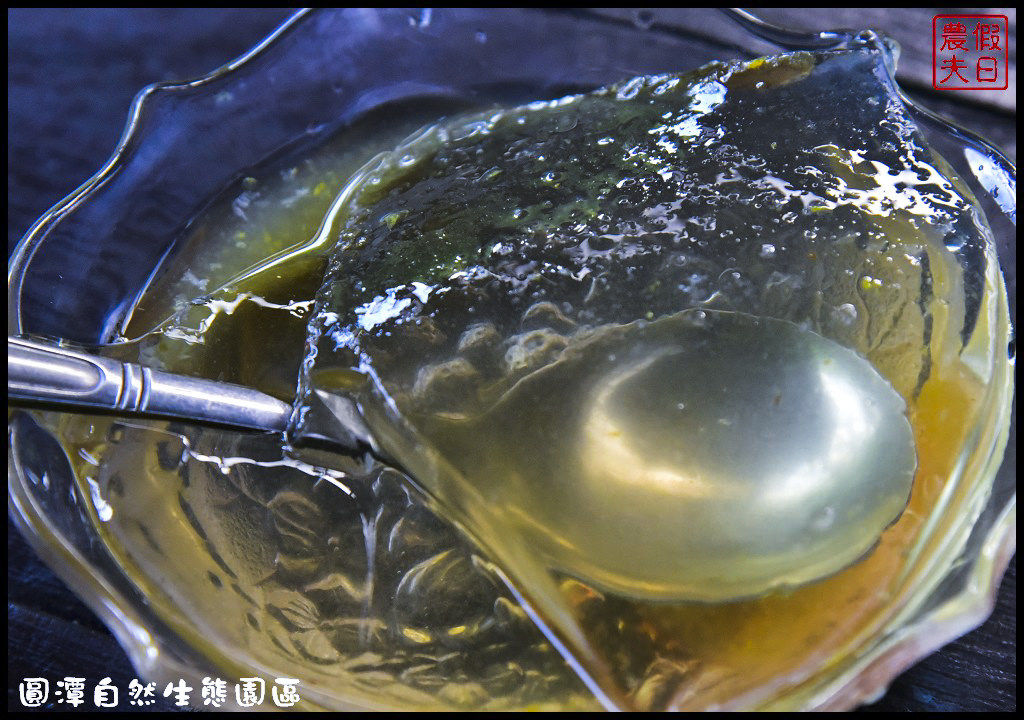 圓潭自然生態園區DSC_6816