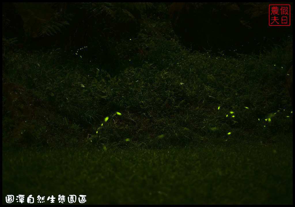 圓潭自然生態園區DSC_6915