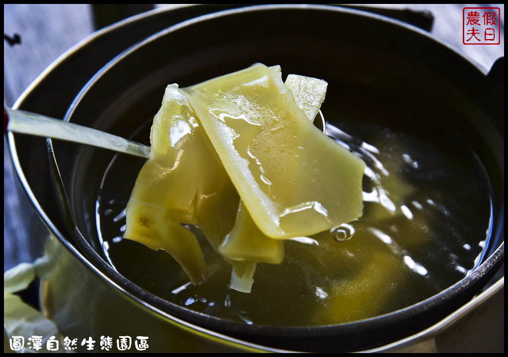 圓潭自然生態園區DSC_6792