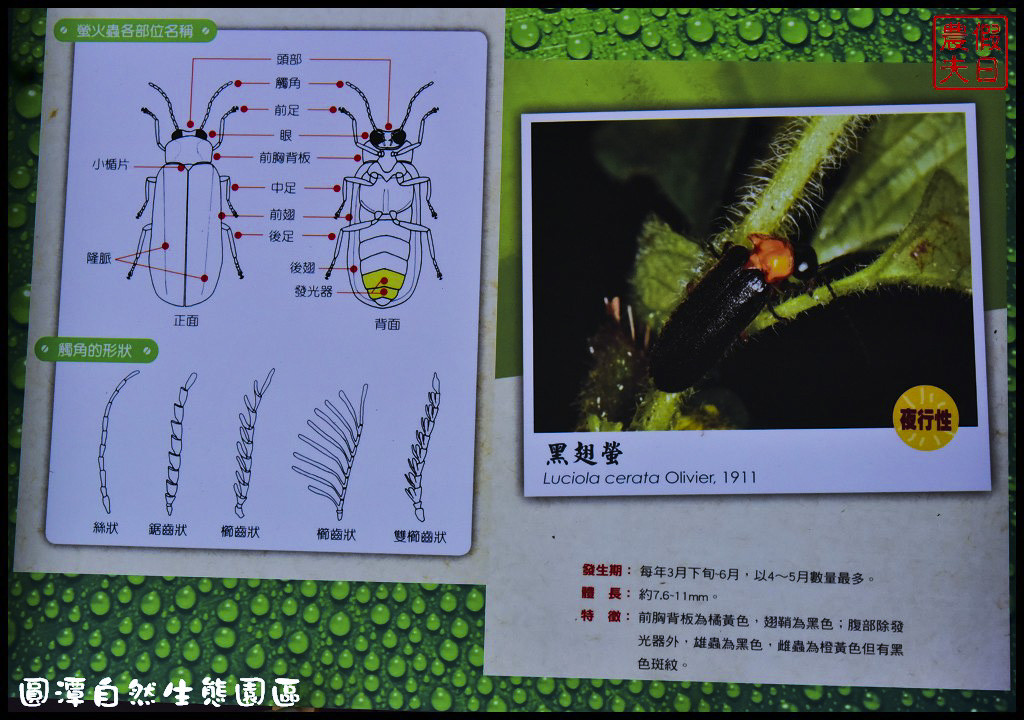 圓潭自然生態園區DSC_6828