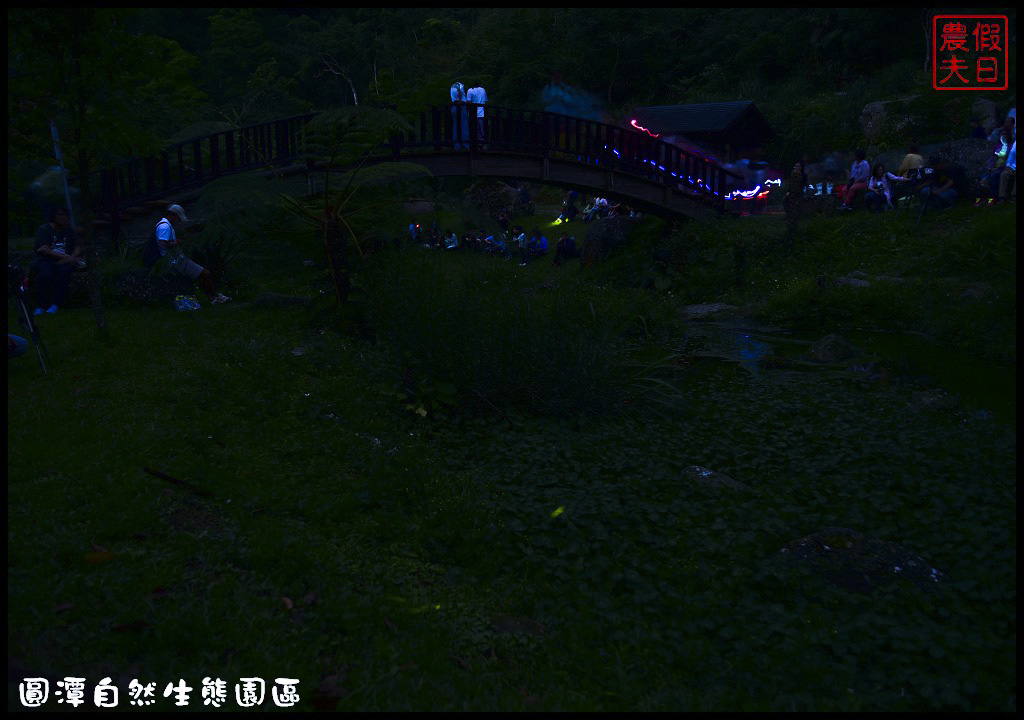 圓潭自然生態園區DSC_6881
